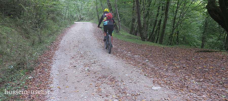 دوچرخه سواری جنگل های نیمور کجور