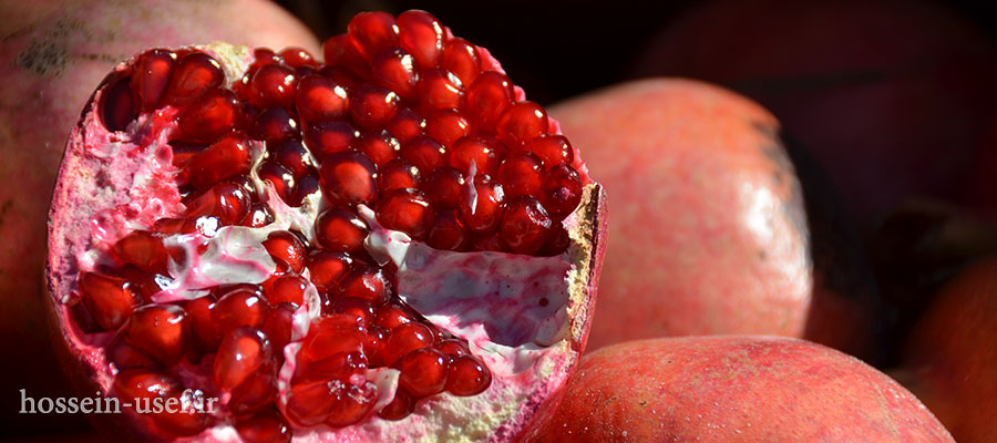 شب یلدا در کویر