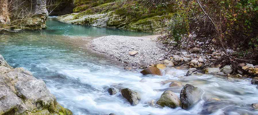 جنگل بلیران