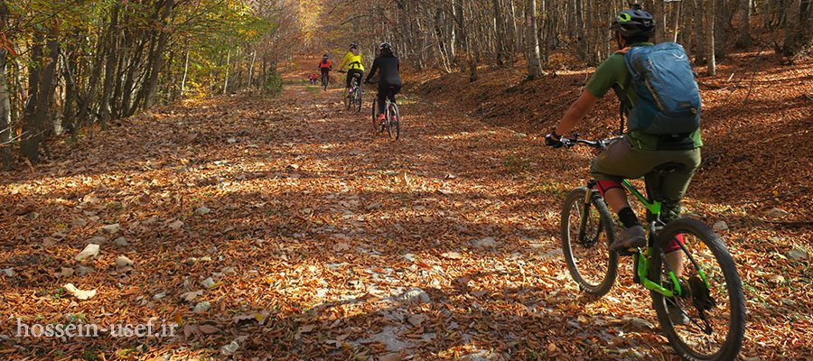 دوچرخه سواری جنگل پاییزی