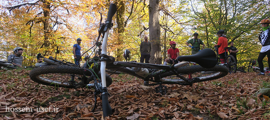 دوچرخه سواری جنگل پاییزی