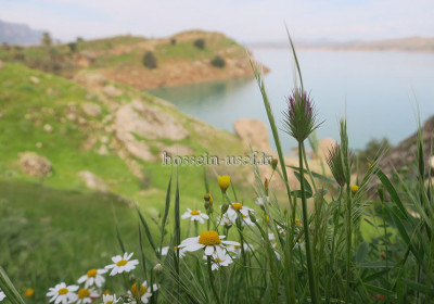 تورهای طبیعتگردی و ایرانگردی